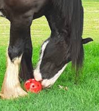 Load image into Gallery viewer, Robust A Ball for Horses - Out of Stock