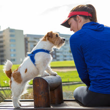 Load image into Gallery viewer, ROGZ Utility Fast Fit Harness - Step-In Design