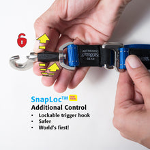Load image into Gallery viewer, ROGZ Control Lead - Shock Absorbing Bungee Dog Lead
