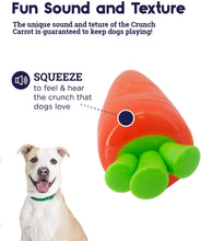 Load image into Gallery viewer, Crunch Veggies Carrot Dog Chew Toy - Large