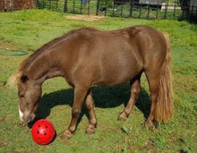 Load image into Gallery viewer, Robust A Ball for Horses - Out of Stock