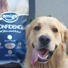 Load image into Gallery viewer, Amigo Confidence Senior Dog Food 8kg or 20kg