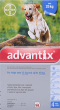 Load image into Gallery viewer, Advantix Spoton Dog
