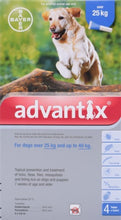 Load image into Gallery viewer, Advantix Spoton Dog Flea Treatment for Medium, Large & X-Large