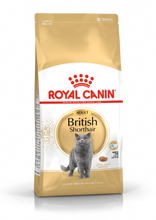 Load image into Gallery viewer, ROYAL CANIN British Shorthair Adult Cat Food - 2kg or 4kg