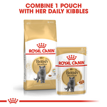 Load image into Gallery viewer, ROYAL CANIN British Shorthair Adult Cat Food - 2kg or 4kg
