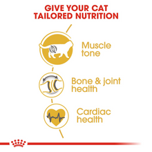 Load image into Gallery viewer, ROYAL CANIN British Shorthair Adult Cat Food - 2kg or 4kg