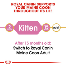 Load image into Gallery viewer, ROYAL CANIN Maine Coon Kitten Food - 2kg or 4kg