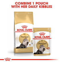 Load image into Gallery viewer, ROYAL CANIN® Persian Adult Cat Food - 2kg, 4kg or 10kg