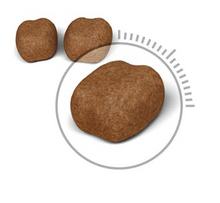 Load image into Gallery viewer, ROYAL CANIN® Oral Care Dry Cat Food - 1.5kg or 3.5kg