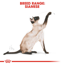Load image into Gallery viewer, ROYAL CANIN® Siamese & Oriental Adult Cat Food - 2kg or 4kg