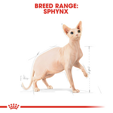 Load image into Gallery viewer, ROYAL CANIN Sphynx Adult Cat Food - 2kg