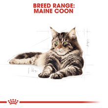 Load image into Gallery viewer, ROYAL CANIN Maine Coon Adult Wet Food Pouches 12 x 85g