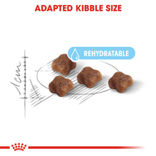 Load image into Gallery viewer, ROYAL CANIN Mother & Babycat Food - 400g, 2kg or 4kg