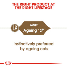 Load image into Gallery viewer, ROYAL CANIN Ageing 12+ Wet Cat Food Pouches in Gravy 12x85g