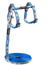 Load image into Gallery viewer, ROGZ NightCat Reflective H-Harness and Lead Set - Small or X-Small
