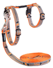Load image into Gallery viewer, ROGZ NightCat Reflective H-Harness and Lead Set - Small or X-Small