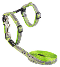 Load image into Gallery viewer, ROGZ NightCat Reflective H-Harness and Lead Set - Small or X-Small
