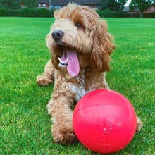 Load image into Gallery viewer, Boomer Ball Dog Toy For Large Dogs