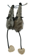 Load image into Gallery viewer, Mice x2 with Silvervine