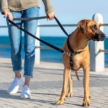Load image into Gallery viewer, ROGZ CONTROL MULTI LEAD for Improved Control Walks