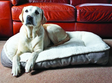 Load image into Gallery viewer, Tweed Teddy Bear Rosewood Pet Mattress Medium 50.8cm or Large 63.5cm