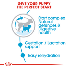 Load image into Gallery viewer, ROYAL CANIN Mini Starter Mother & Babydog Food - 4kg & 8kg
