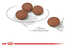 Load image into Gallery viewer, ROYAL CANIN® Mini Digestive Care - 3kg