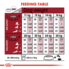 Load image into Gallery viewer, ROYAL CANIN Medium Ageing 7+ Adult Dog Food Lamb & Rice - 10kg