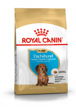 Load image into Gallery viewer, ROYAL CANIN Dachshund Puppy Dog Food
