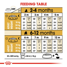 Load image into Gallery viewer, ROYAL CANIN English Bulldog Puppy Dog Food - 3kg or 12kg