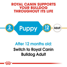 Load image into Gallery viewer, ROYAL CANIN English Bulldog Puppy Dog Food - 3kg or 12kg