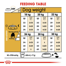 Load image into Gallery viewer, ROYAL CANIN English Bulldog Adult Dog Food - 12kg
