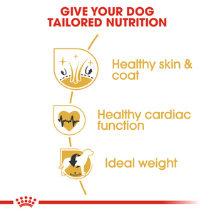 ROYAL CANIN Golden Retriever Adult Dog Food