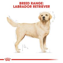 Load image into Gallery viewer, ROYAL CANIN Labrador Retriever Adult Dog Food - 12kg