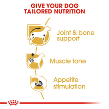 Load image into Gallery viewer, ROYAL CANIN Dachshund Adult Wet Dog Food Pouches - 12 x 85g