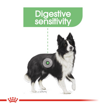 Load image into Gallery viewer, ROYAL CANIN® Medium Digestive Care - 3kg & 12kg