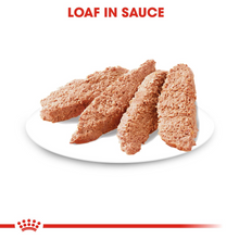 Load image into Gallery viewer, ROYAL CANIN® Dermacomfort Loaf - Box of 12 x 85g - Wet Food for All Size Dogs