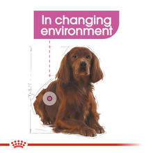 Load image into Gallery viewer, ROYAL CANIN® Relax Care Medium
