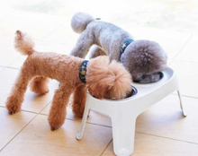 Load image into Gallery viewer, Elevated Dog Stand with 2 Bowls - Small, Medium or Large