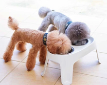 Load image into Gallery viewer, Elevated Dog Stand with 2 Bowls - 3 sizes
