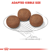 Load image into Gallery viewer, ROYAL CANIN Medium Puppy Dog Food - 4kg or 15kg