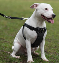 Load image into Gallery viewer, Rosewood Front-Connect Padded Harness (Small, Medium, Large)