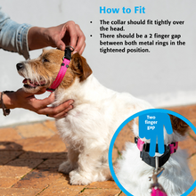 Load image into Gallery viewer, ROGZ Web Control Dog Collar