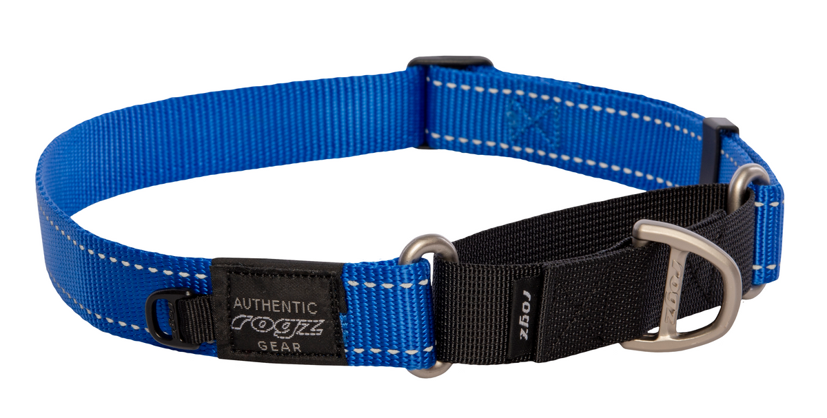 ROGZ  Control Dog Collar Bizzibabs Scratch Patch