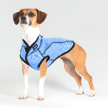 Load image into Gallery viewer, ROGZ Dogz Vest ComfySkinz