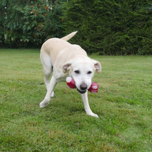 Load image into Gallery viewer, Meaty Tough Bacon Bone Dog Toy bizzibabs.com