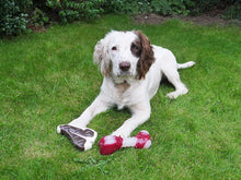 Load image into Gallery viewer, Meaty Tough Bacon Bone Dog Toy bizzibabs.com