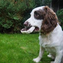 Load image into Gallery viewer, Meaty Tough Beef Steak Dog Toy bizzibabs.com