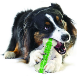 Crunchcore Dog Chew Toy Small, Medium or Large